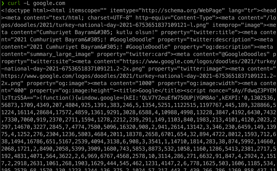 curl -L google.com